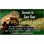 Save Your Leopard Gecko coupon codes
