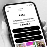 Pallyy Review