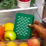 Fridge Friend Review