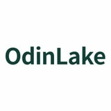 Odinlake Chair US coupons