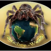 Arachno-World coupon codes