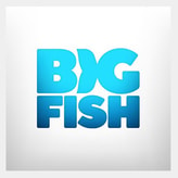 Big Fish Games coupon codes