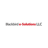 Blackbird e-Solutions coupon codes