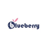 Blueberry Kids Store coupon codes