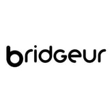 Bridgeur coupon codes
