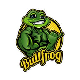 Bullfrog Digital Marketing Agency & SEO Company coupon codes