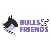 Bulls And Friends coupon codes