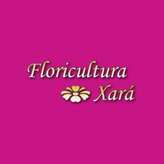Floricultura Xará coupon codes