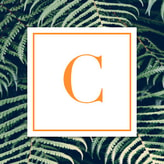 Cosme Hunt coupon codes