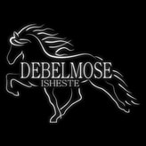 Debelmose Isheste coupon codes