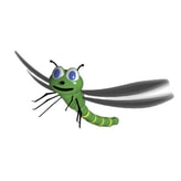 Dragonfly Solutions coupon codes