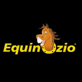 Equinozio Game coupon codes