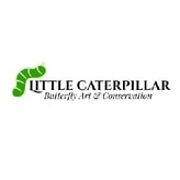 Little Caterpillar Art coupon codes