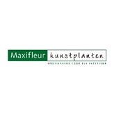 Maxifleur Kunstplanten coupon codes