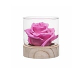 Natural Fragrance Rose coupon codes