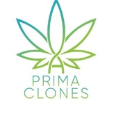 Prima Clones coupon codes