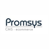 Promotion Systems coupon codes