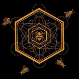 Spirt Of The Hive coupon codes
