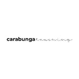 Carabunga Teaching coupon codes