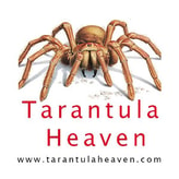 Tarantula Heaven coupon codes