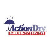 Action Dry coupon codes