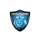 Valor Training Group coupon codes