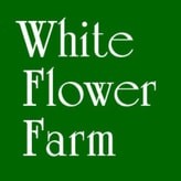 White Flower Farm coupon codes