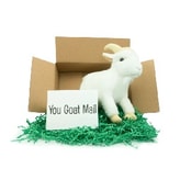You Goat Mail coupon codes