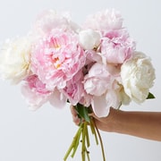 Best Affordable Flower Delivery