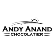 Andy Anand