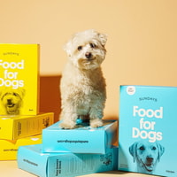 Sundays for Dogs Review
