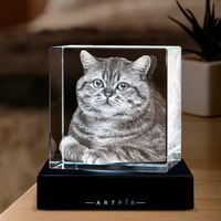 ArtPix 3D Review 