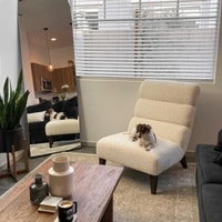 CHITA LIVING Review 