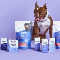 Ellevet Sciences Review