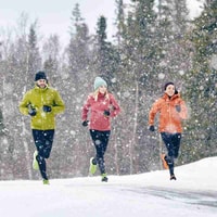 Icebug Review 