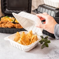 LollicupStore Review