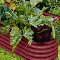 Olle Garden Bed Review 
