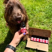 PAWD DRINKS Review
