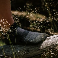 Powersocks Review