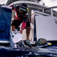 Scales Gear Review 