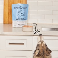 Spot & Tango Review