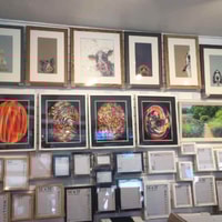 Wall Space Review 