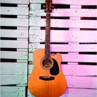Zager Guitars Review