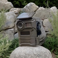 Camojojo Trail Camera Review 