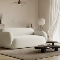 Acanva Review