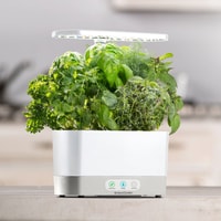AeroGarden Review