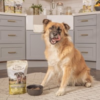 Badlands Ranch Dog Food Review 