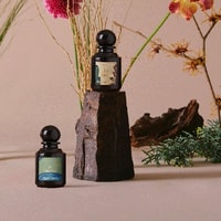 Best Niche Perfume Brands Review