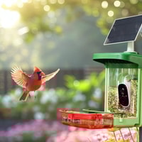 Bilantan Bird Feeder Review 