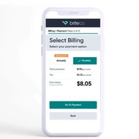 BriteCo Review